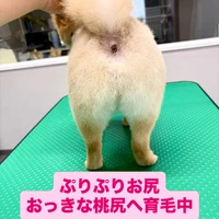 画像1044