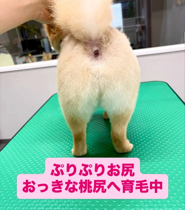 画像1044