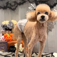 画像1239