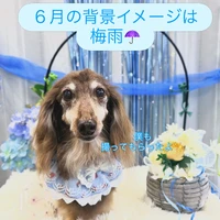画像460