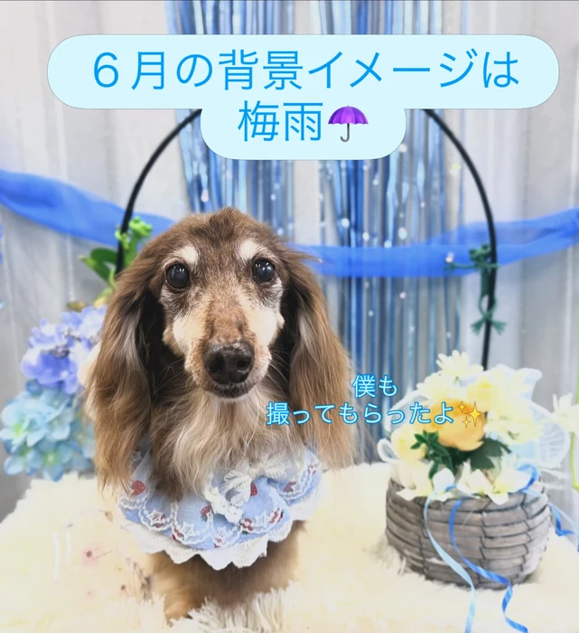 画像460