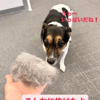 画像593