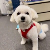 画像698