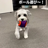 画像710