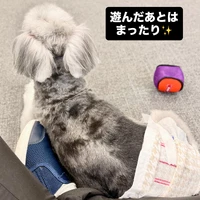 画像711