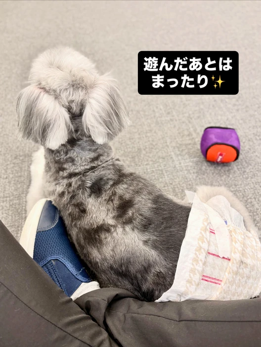 画像711
