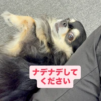 画像720