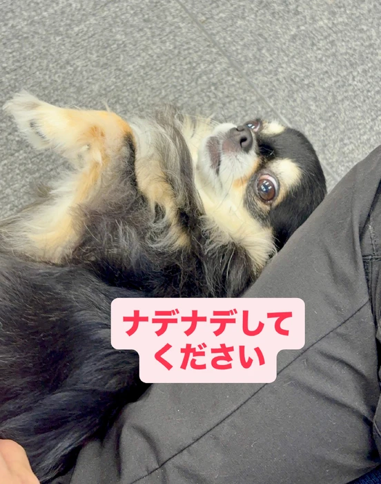 画像720
