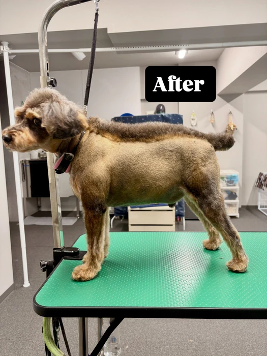 画像726