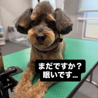 画像727