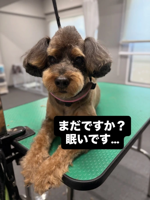 画像727