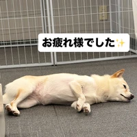 画像774