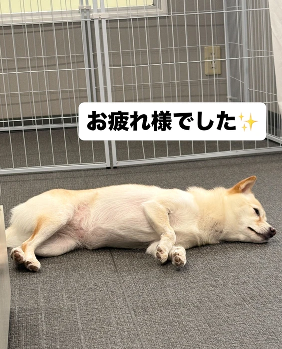 画像774