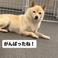画像775