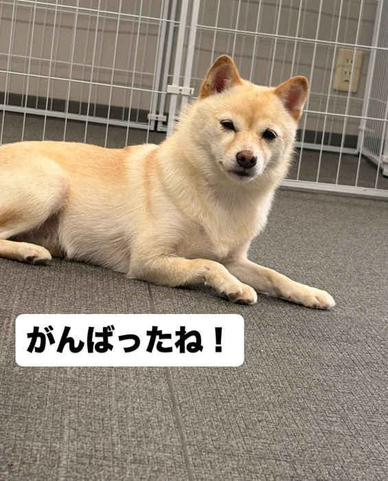 画像775