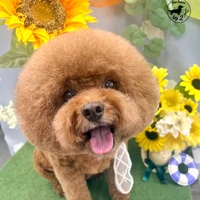 画像873
