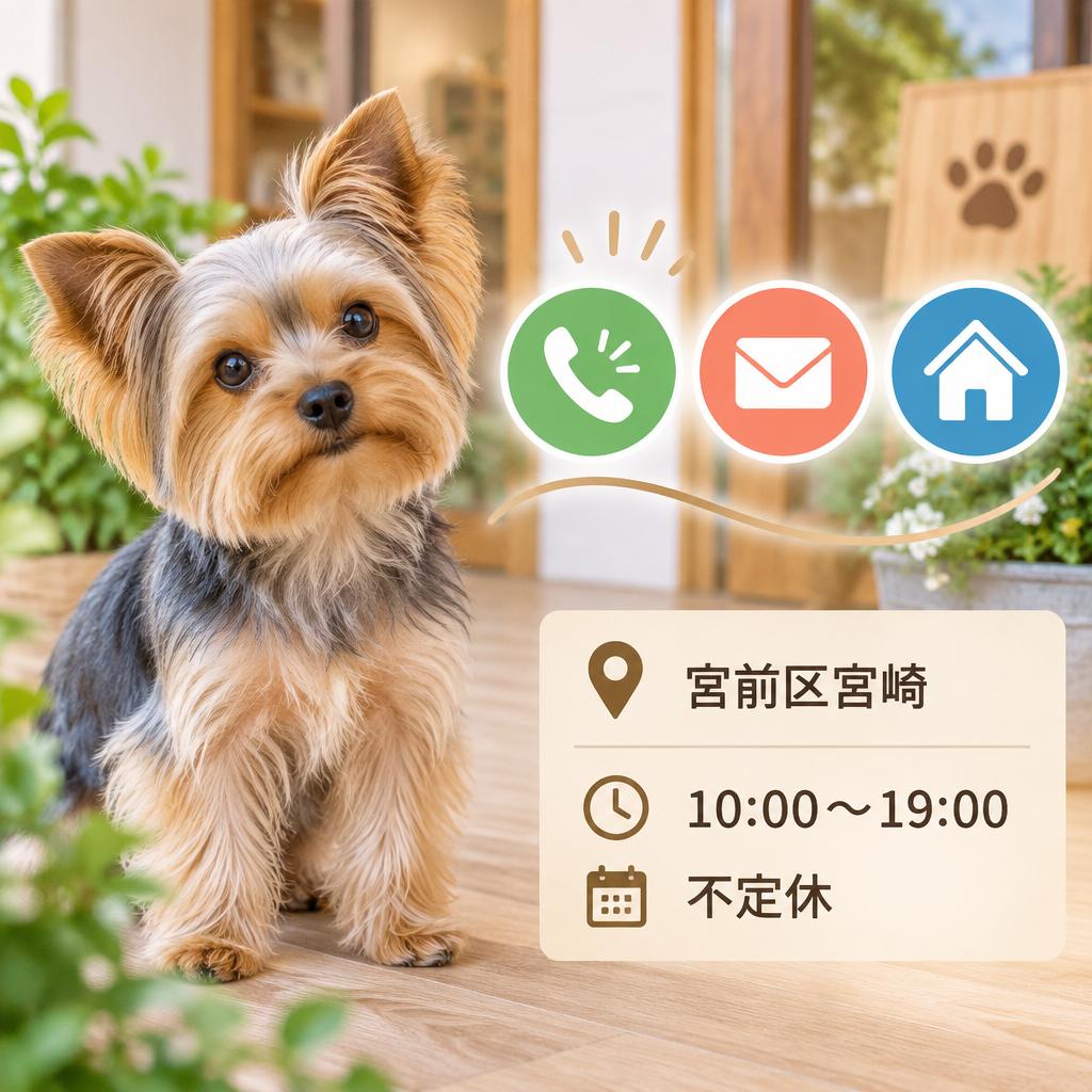 愛犬に合うケアを、まずは気軽にご相談ください