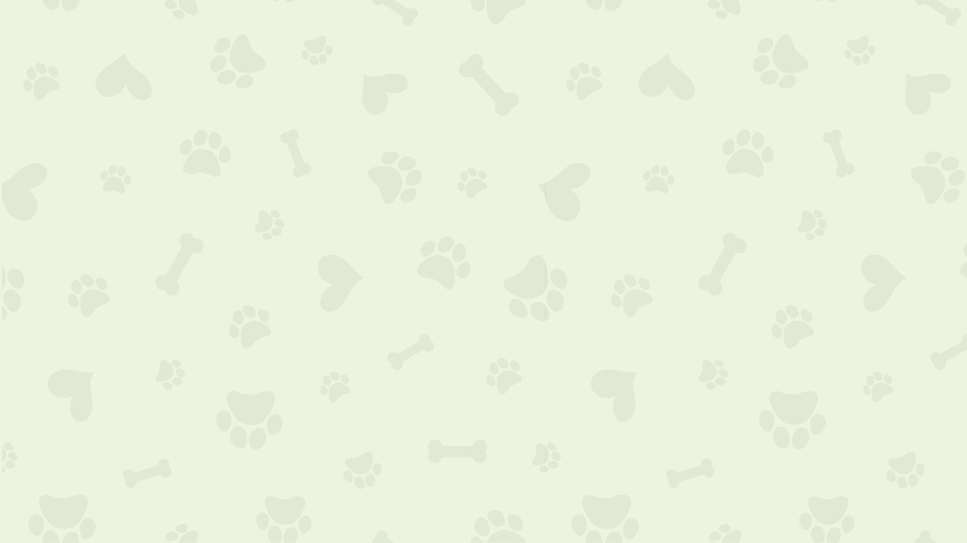 小型犬専門の丁寧な施術で安心のお手入れ