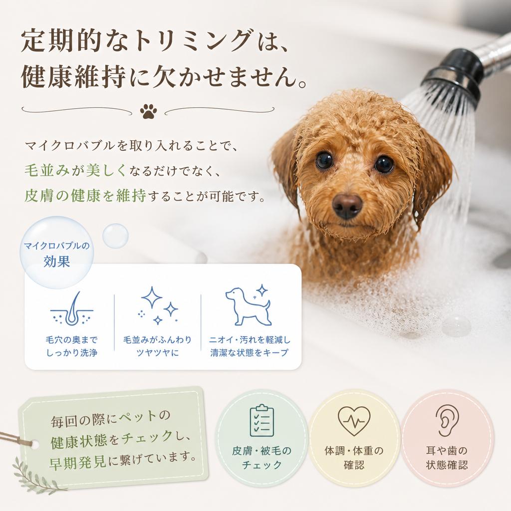 健康維持のための定期ケア