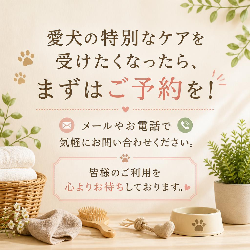 ご予約・お問い合わせ