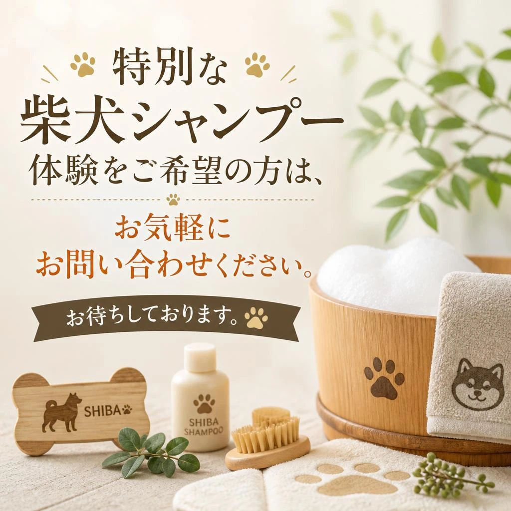 7. ご予約・お問い合わせはこちらから