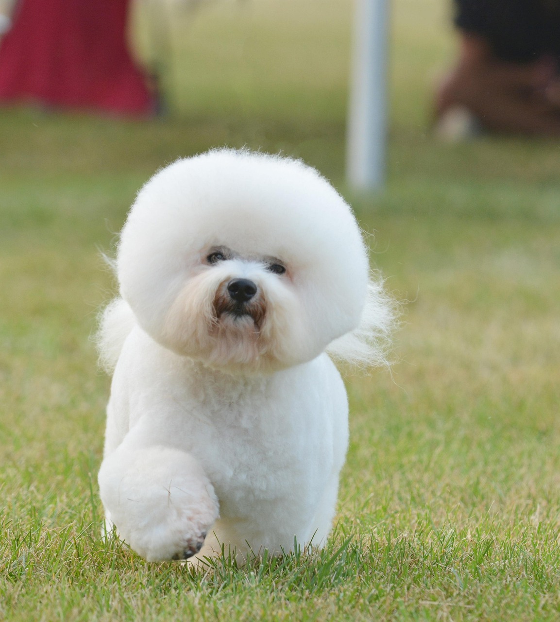 愛犬専用の贅沢空間で、特別なお手入れを！