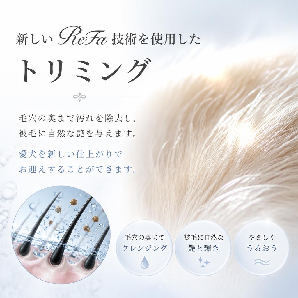 Refaファインバブルの効果