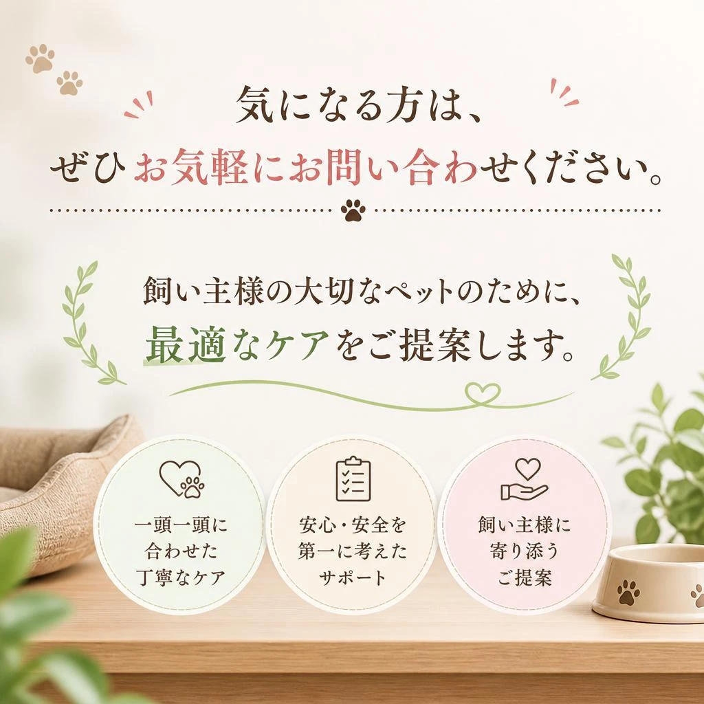 お問い合わせ・予約