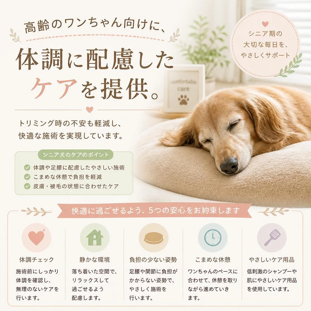 老犬に寄り添った特別ケア