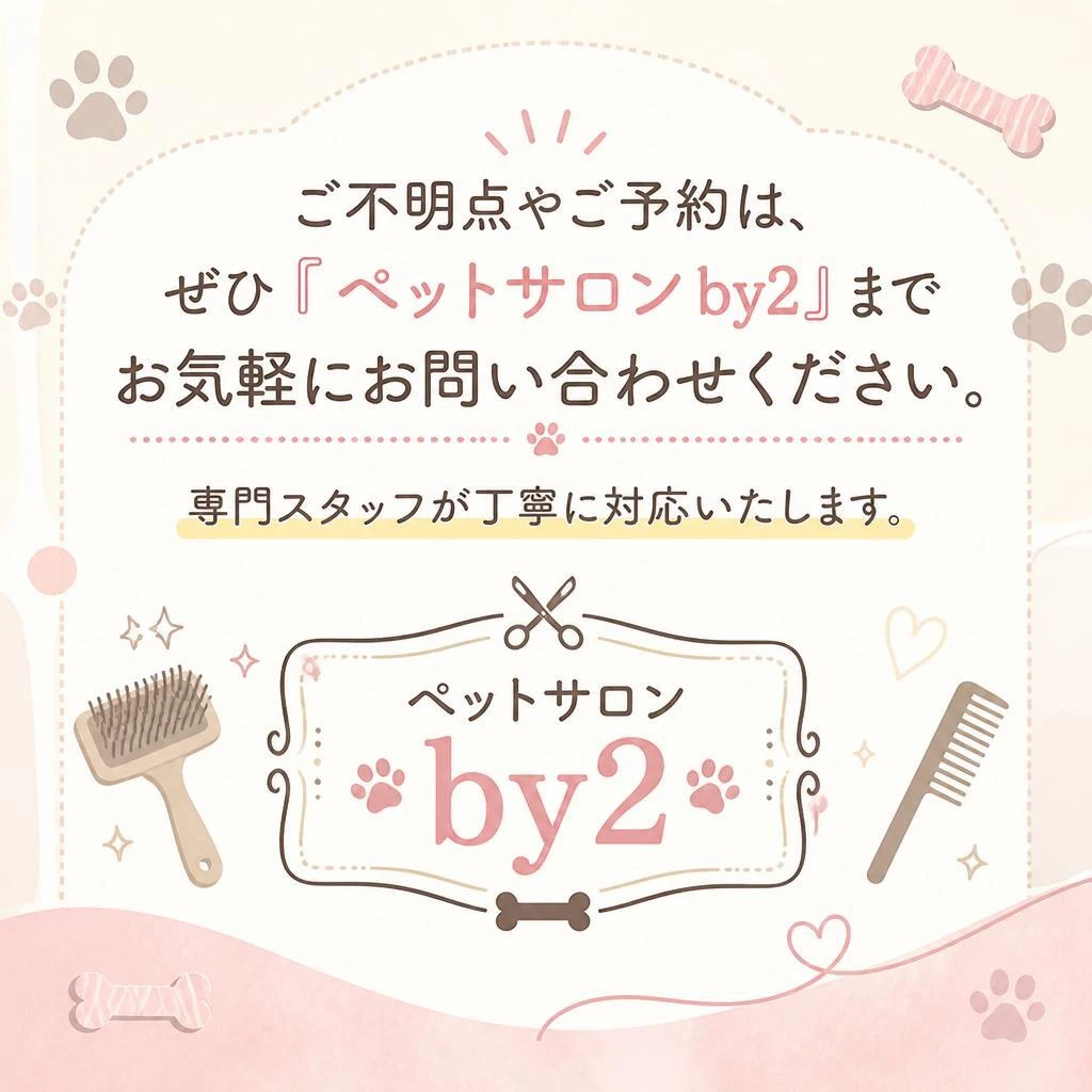 今すぐお問い合わせください！