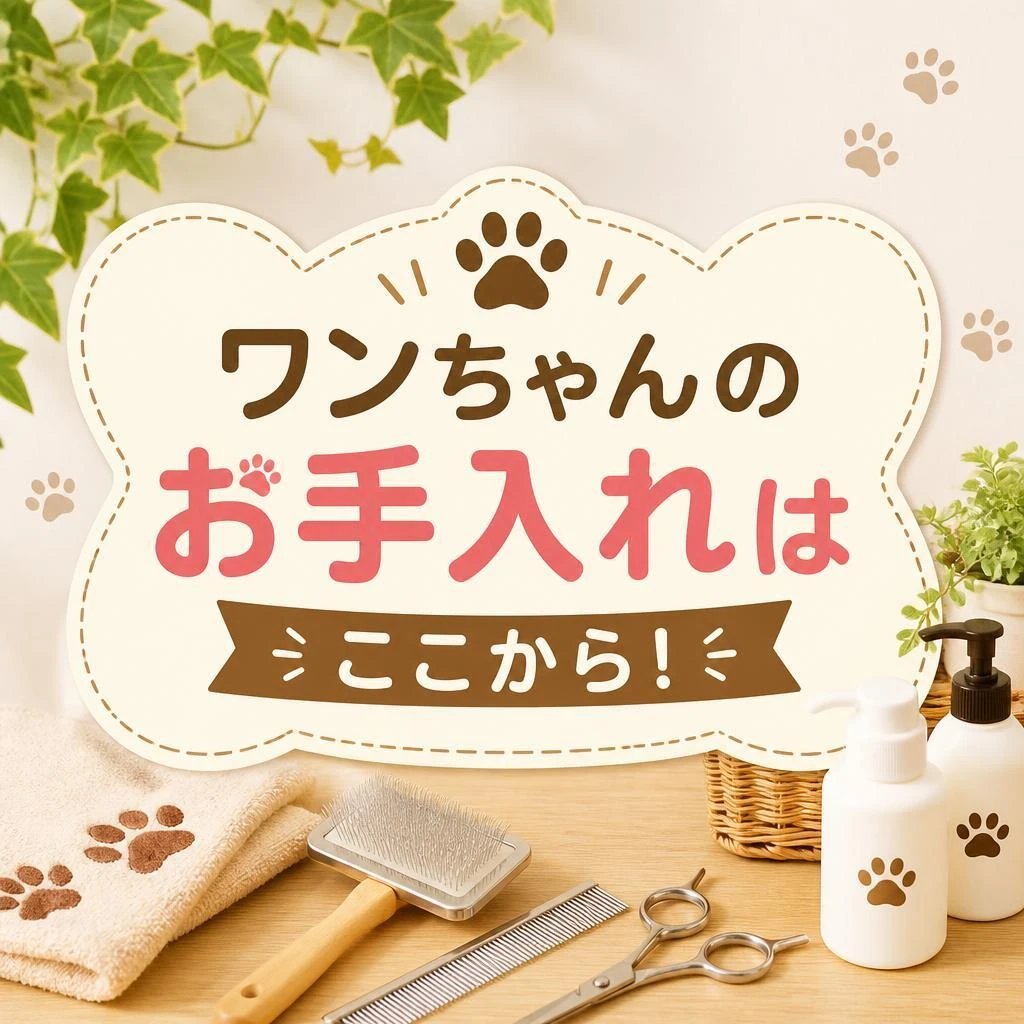 ワンちゃんのお手入れはここから！
