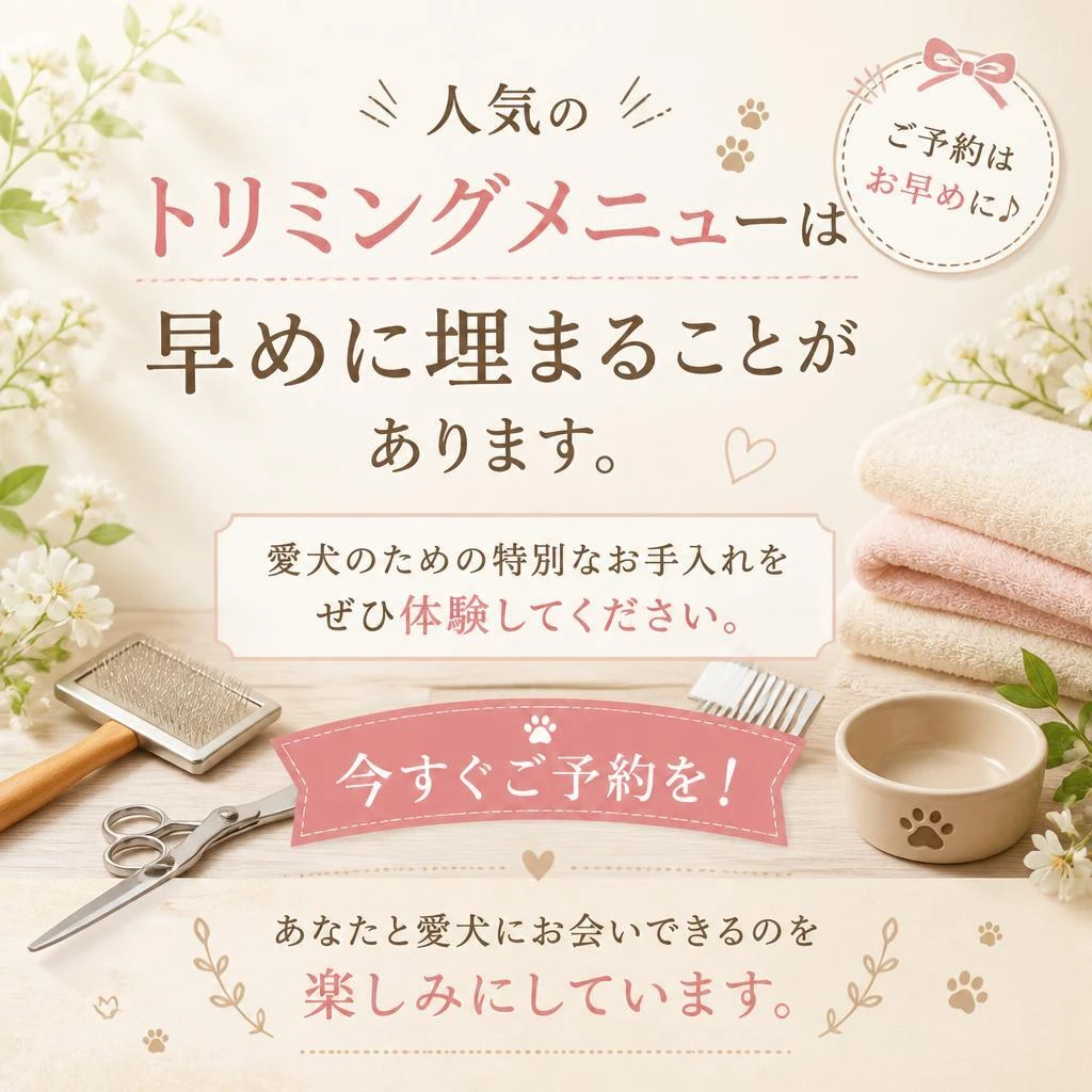 ご予約はお早めに！
