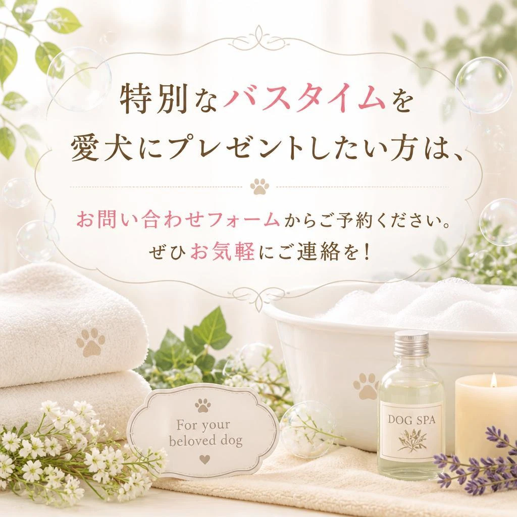 今すぐ予約！