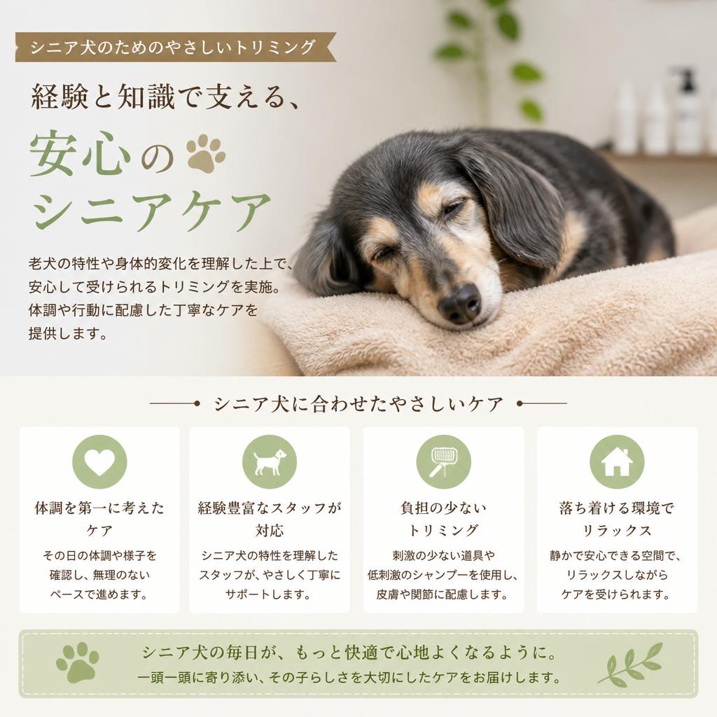 老犬ケアの専門知識