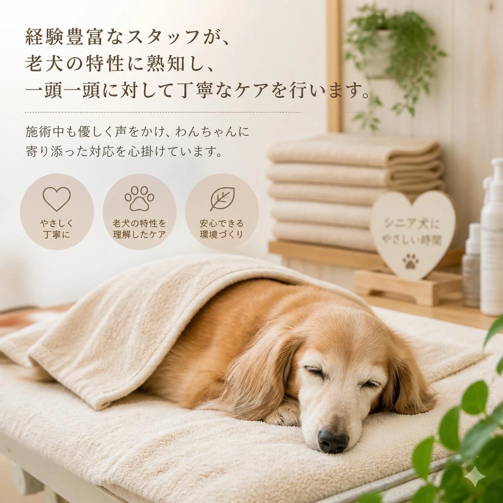 ベテランスタッフによる安心のケア