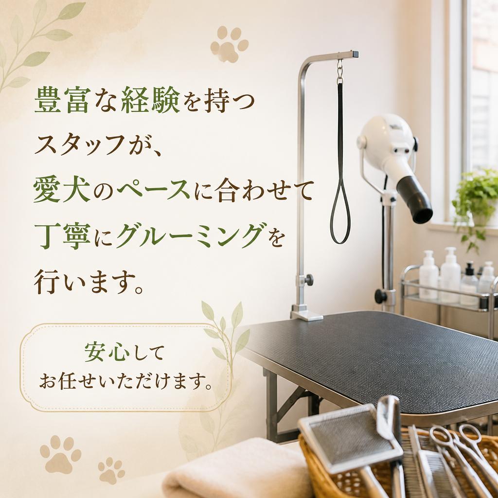 グルーミングのプロによる丁寧な対応