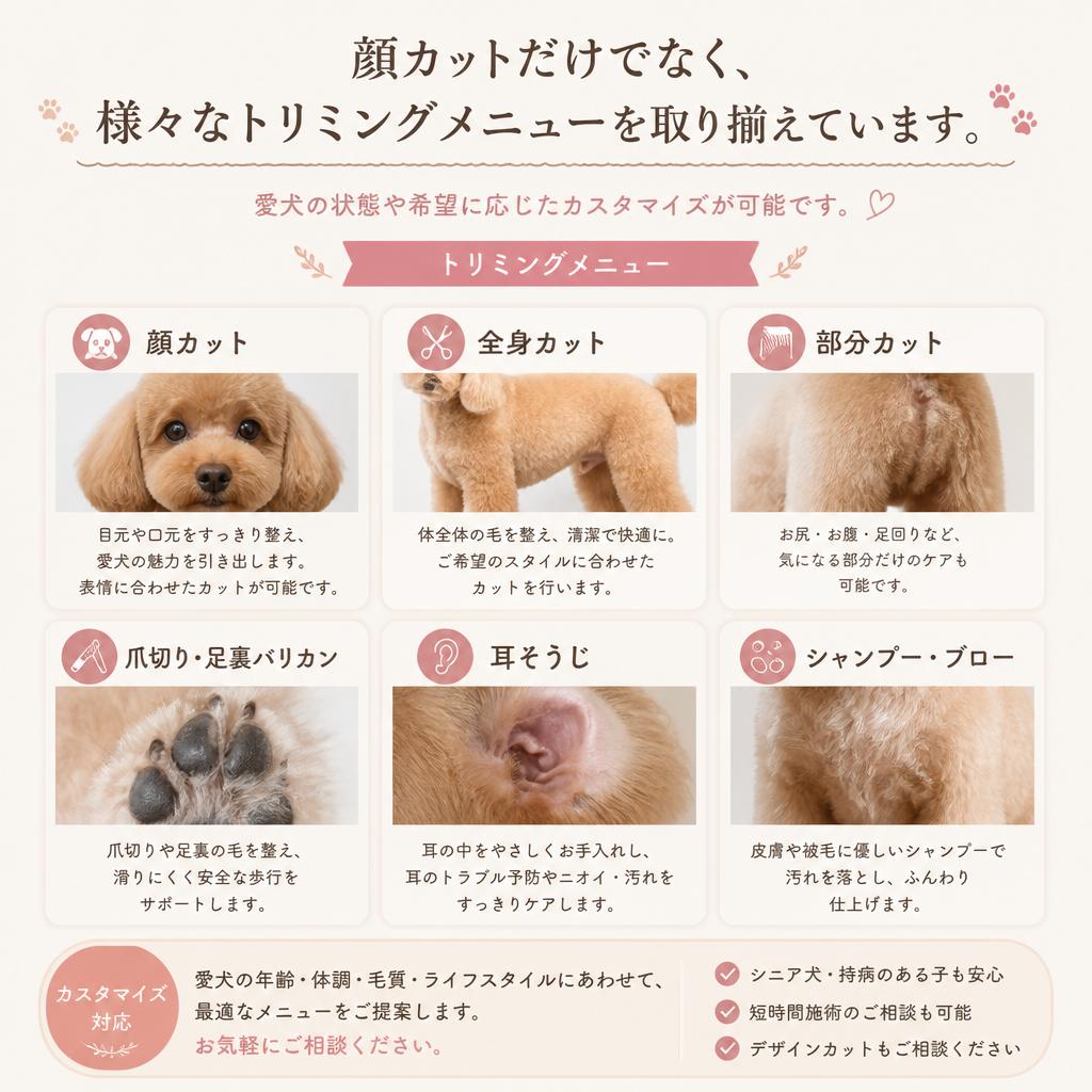 充実したメニュー