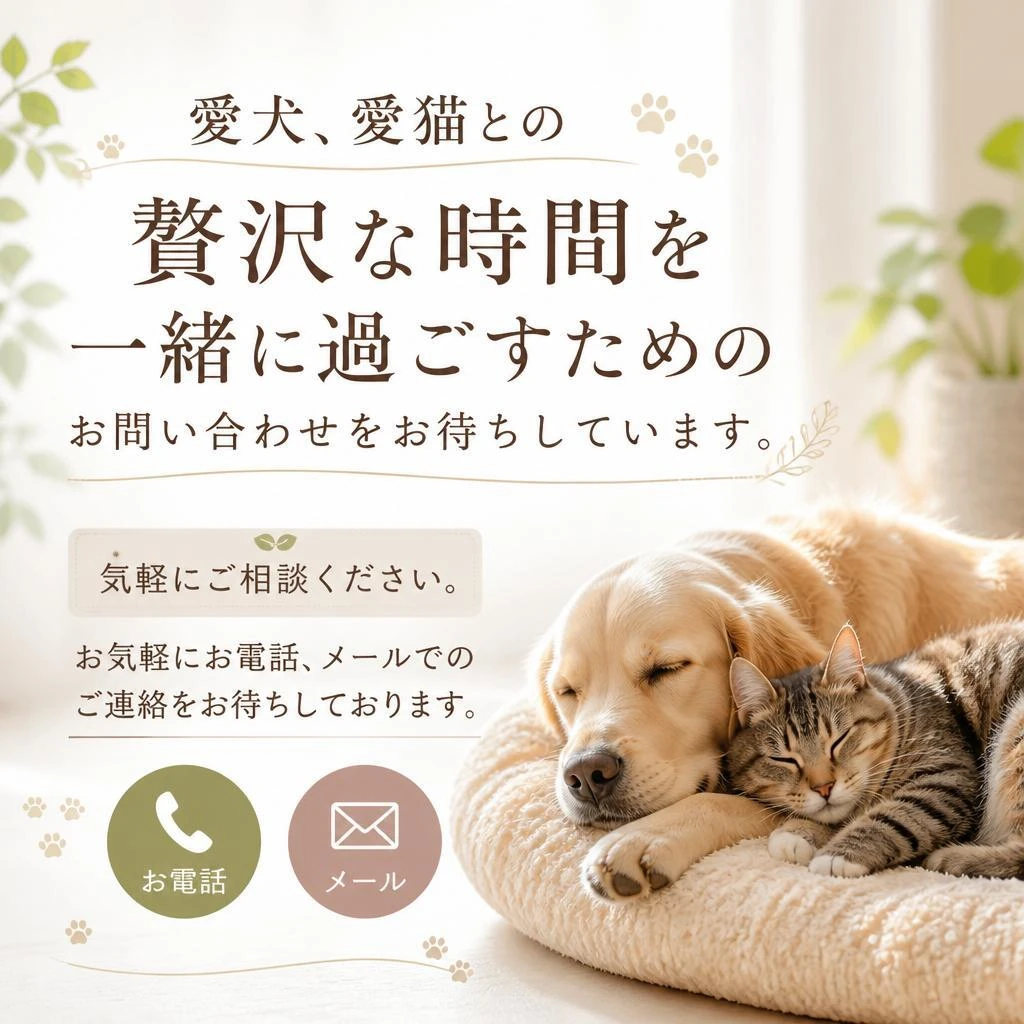 お問い合わせはこちらから！
