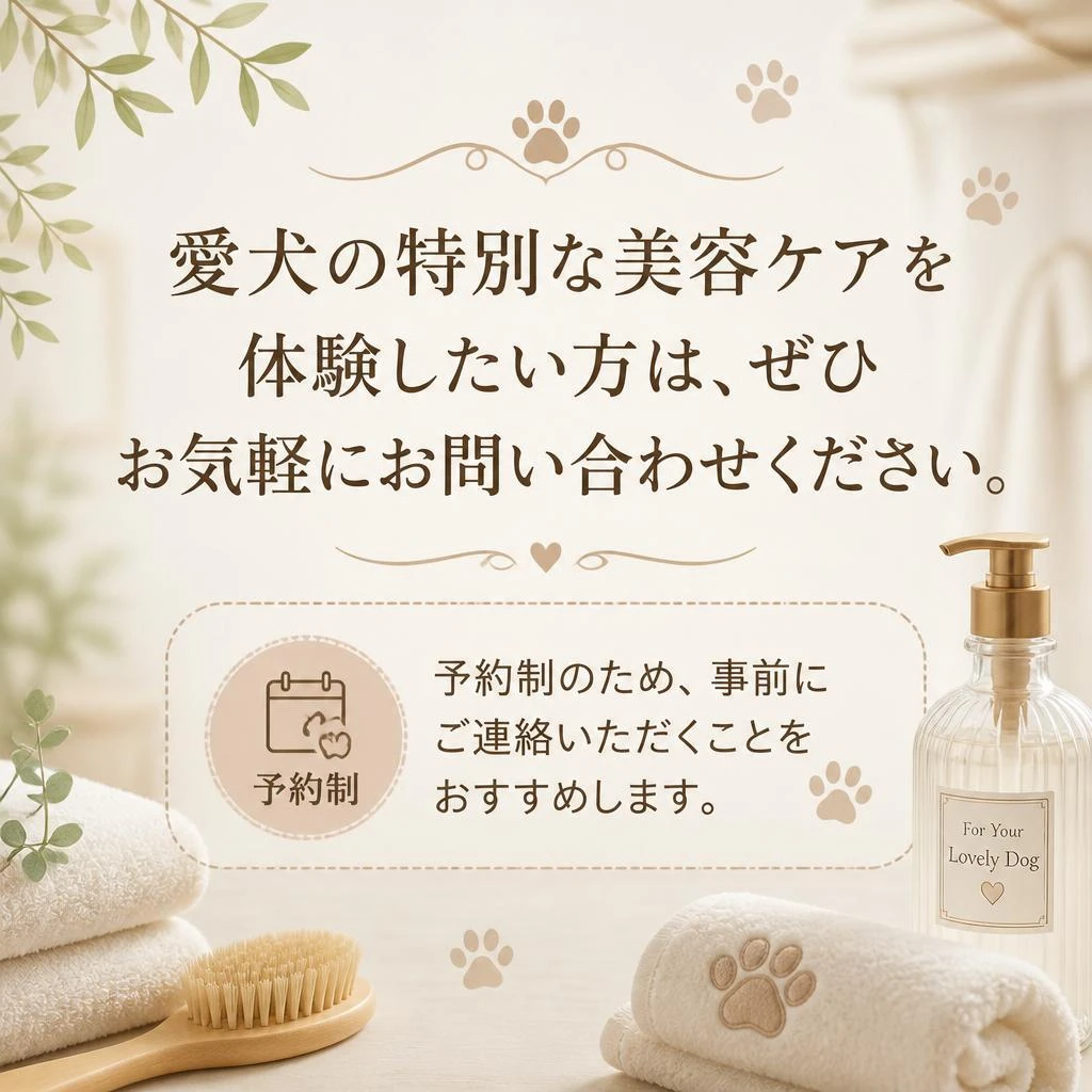 今すぐお問い合わせを！