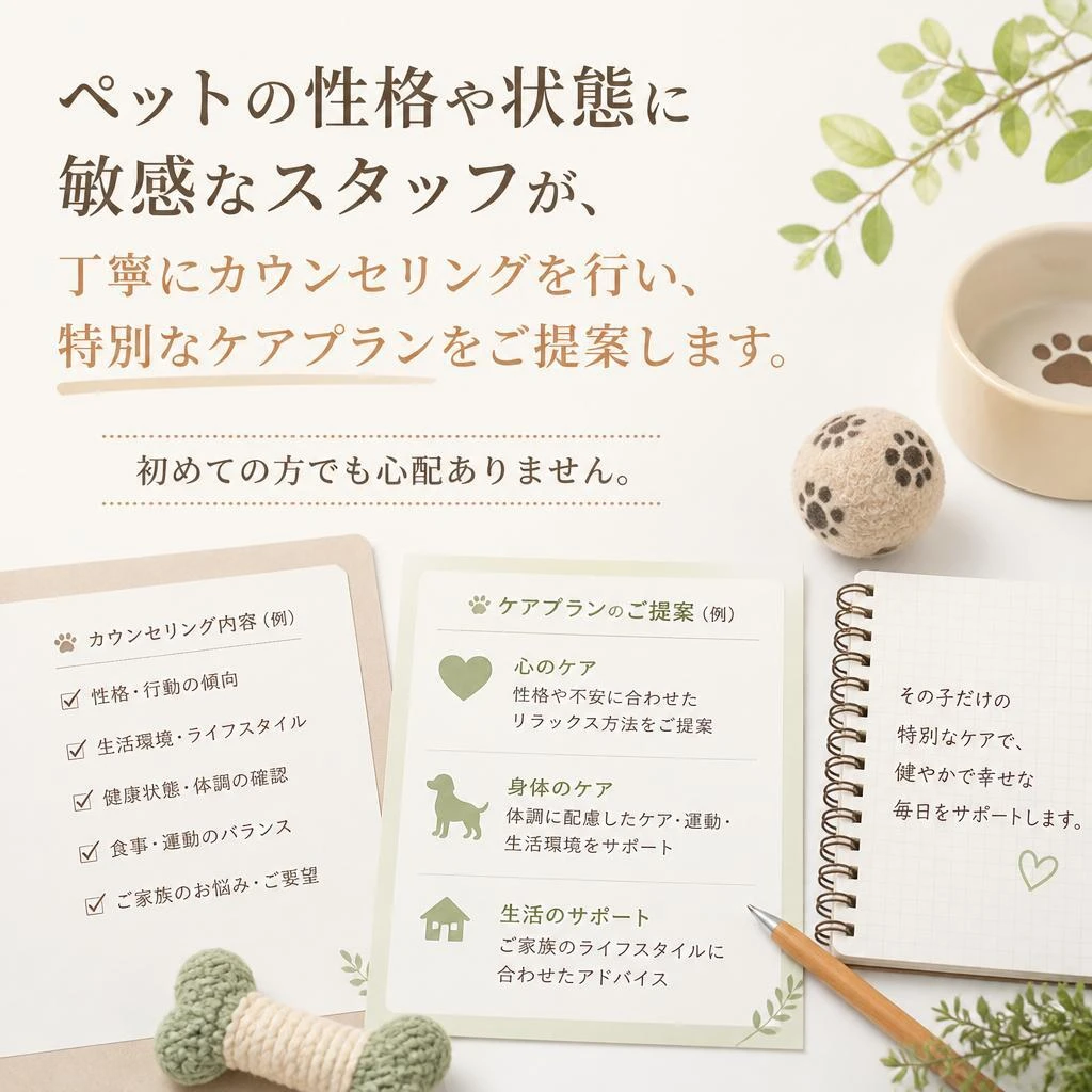5. 経験豊富なスタッフの丁寧な対応