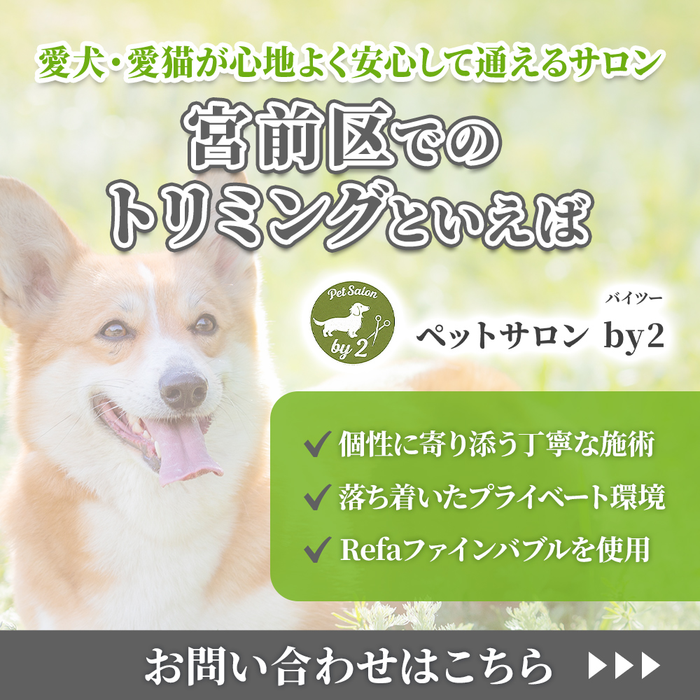 modal_banner